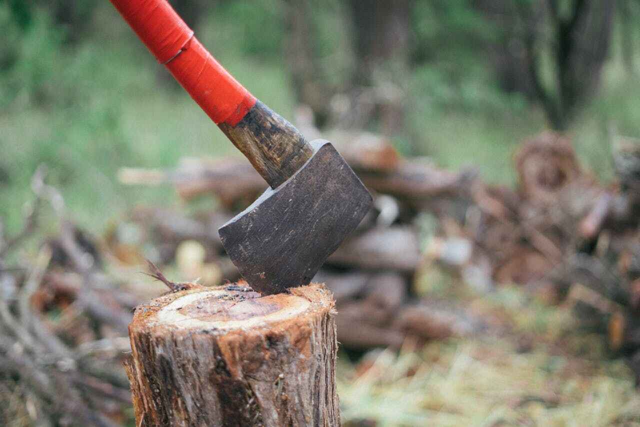 Emergency Storm Tree Removal in Walnut Grove, CA